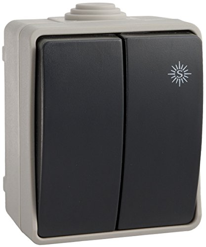 interruptor Doble Estanco IP54 con Solera - Protege circuitos eléctricos en exteriores y ambientes húmedos, ideal para uso industrial y doméstico.